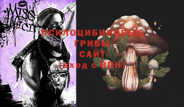 мефедрон Гусиноозёрск