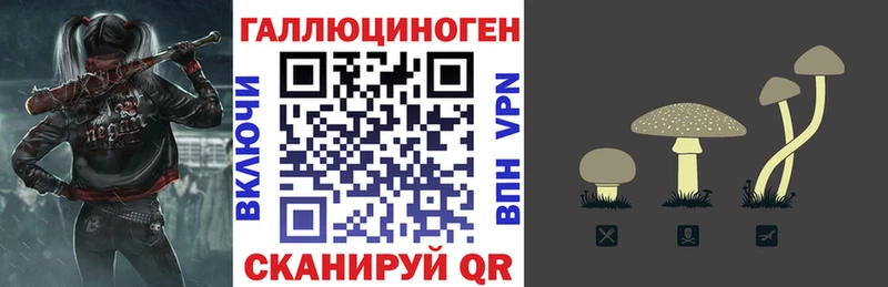 Галлюциногенные грибы мицелий kraken вход Бодайбо магазин наркотиков
